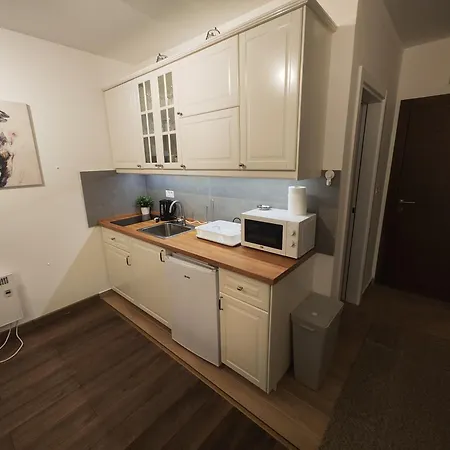 Alastra Ap 02 President Kop アパートホテル コパオニク